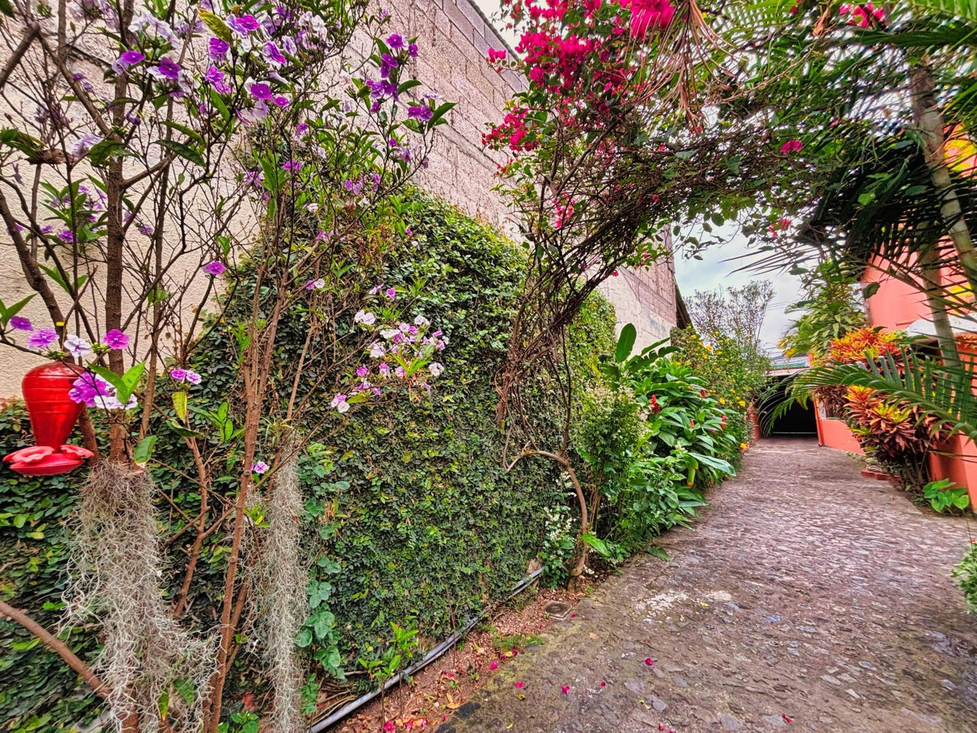 Alana Hotel By Ish Antigua Exterior photo